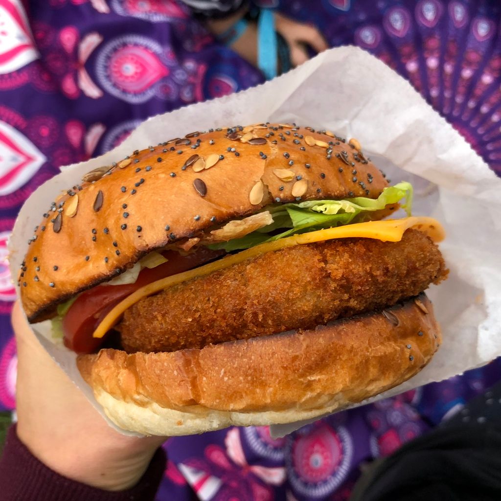 EU wants to ban ‘meaty’ names like ‘sausage’ for vegan food - jack fruit burger
