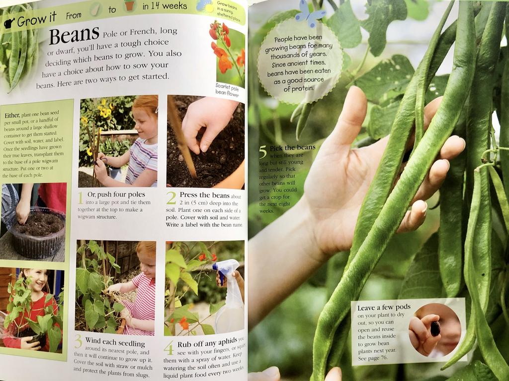 Reasons to grow your own food with kids + Grow It, Cook It book giveaway prize.jpg
