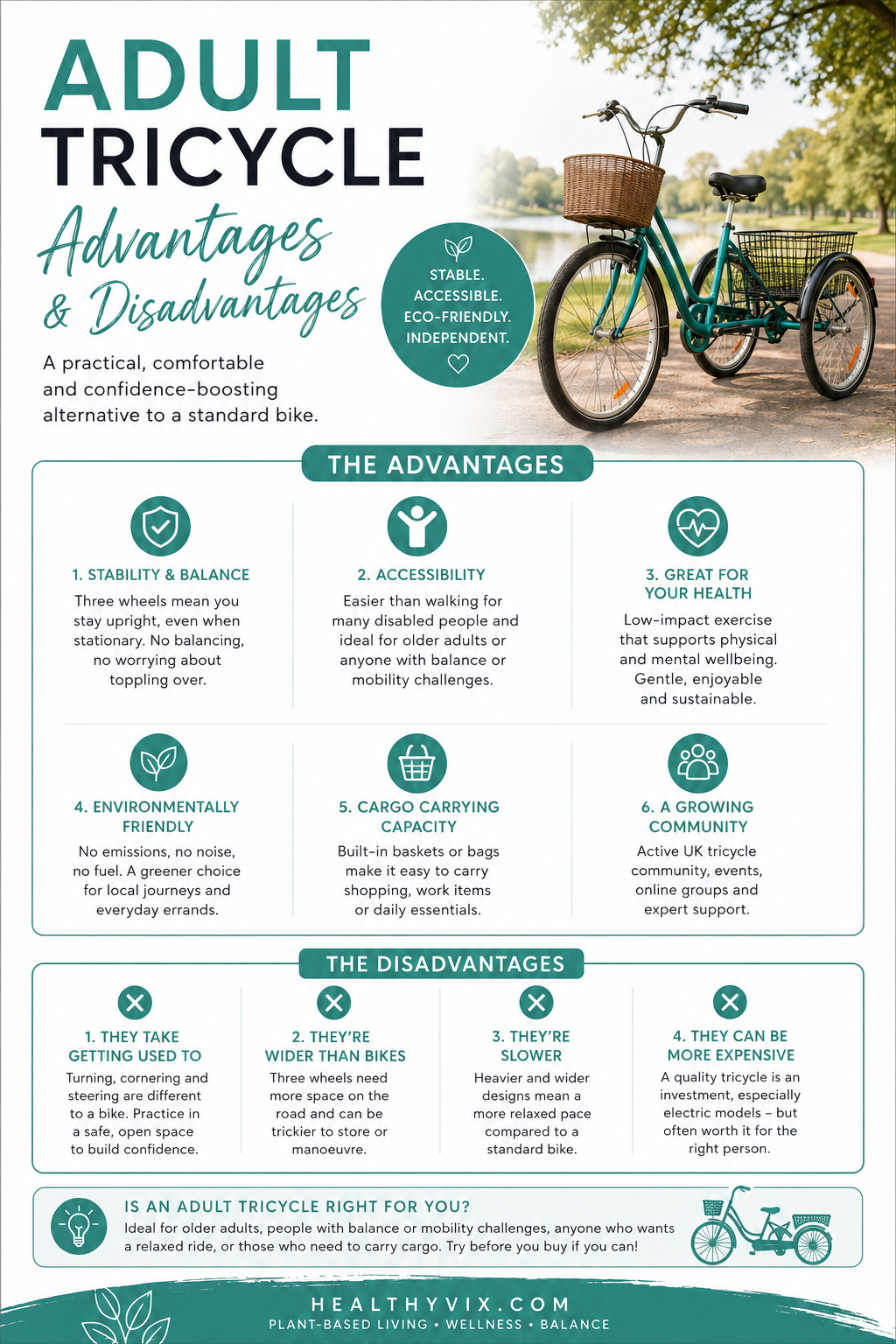 Adult Tricycle Advantages and Disadvantages