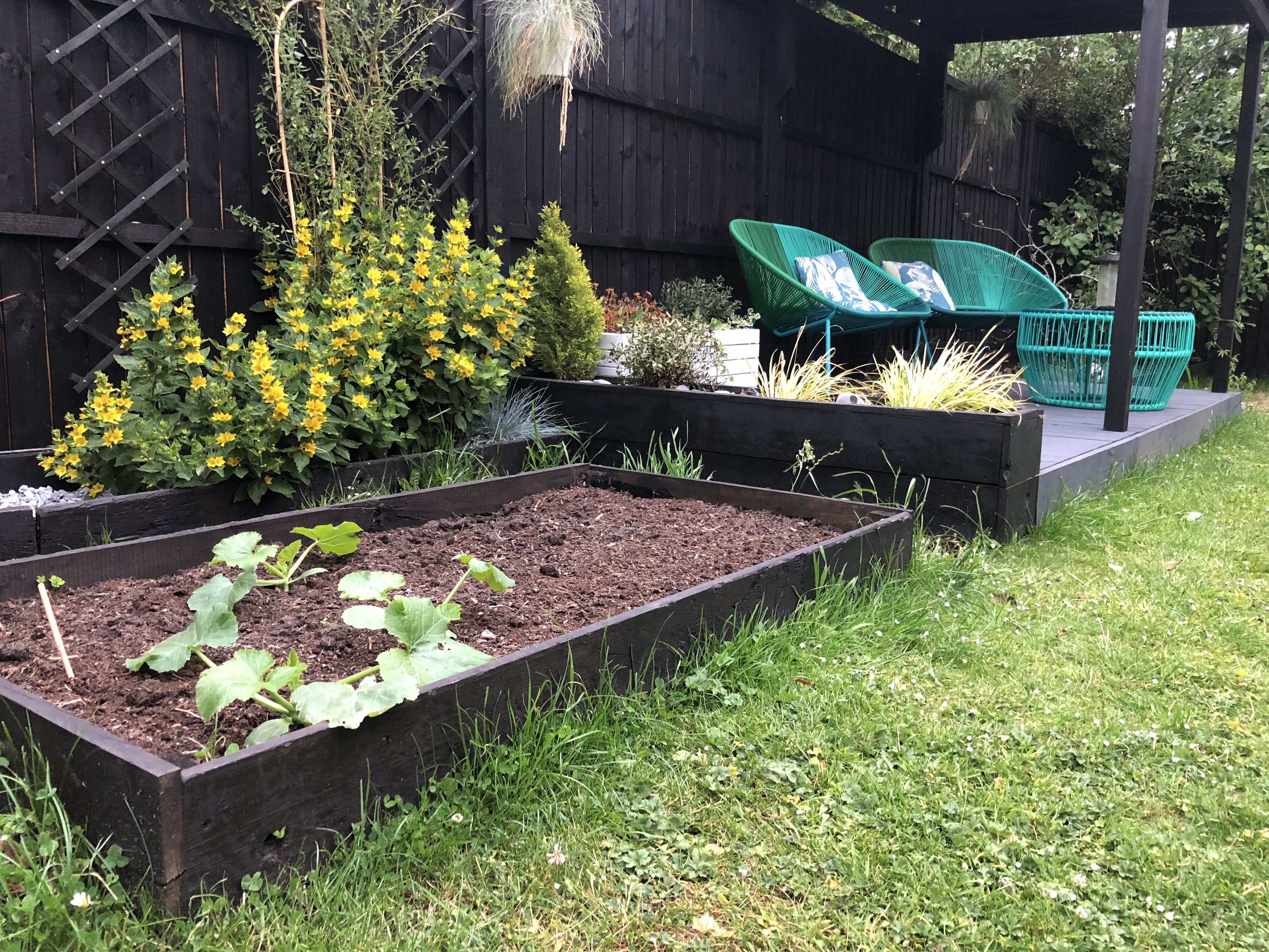 5 Tips for Growing Organic Vegetables This Spring