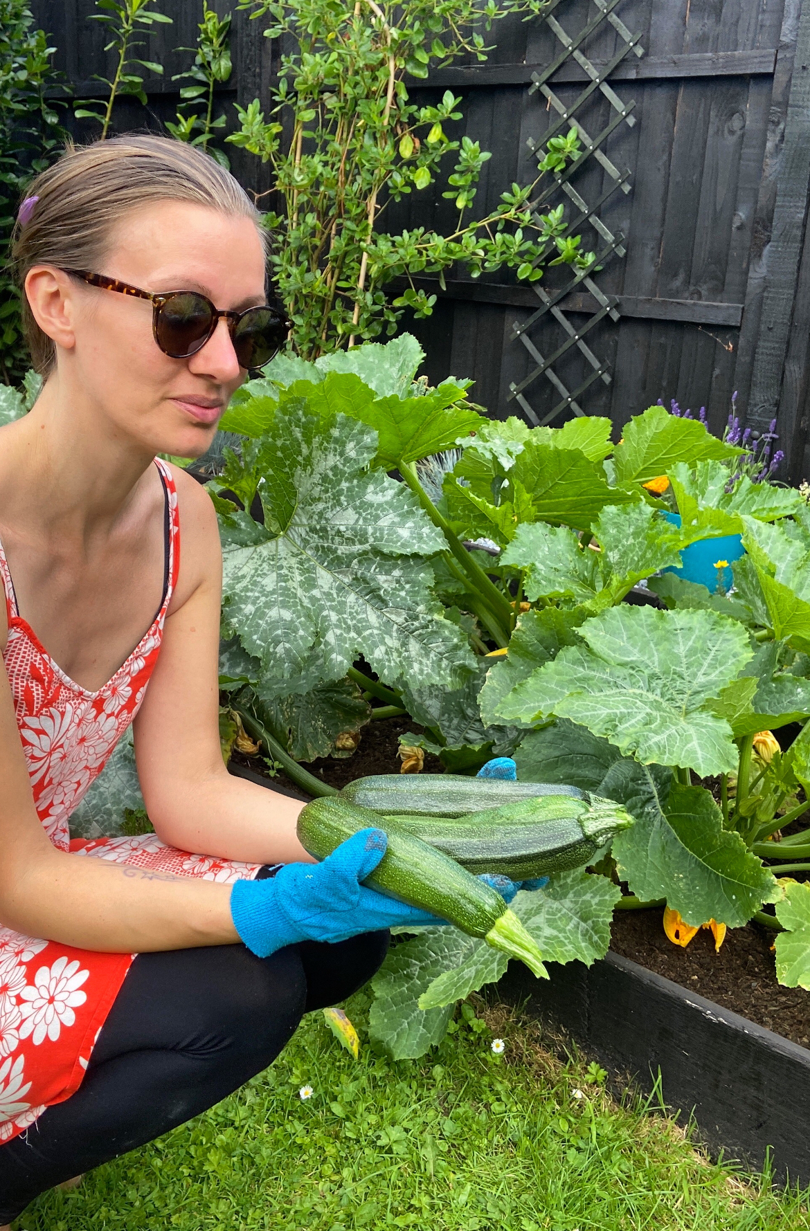 homegrown courgettes