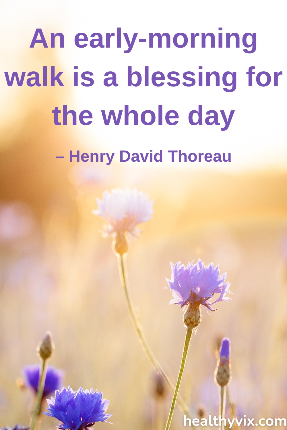 An early-morning walk is a blessing for the whole day quote