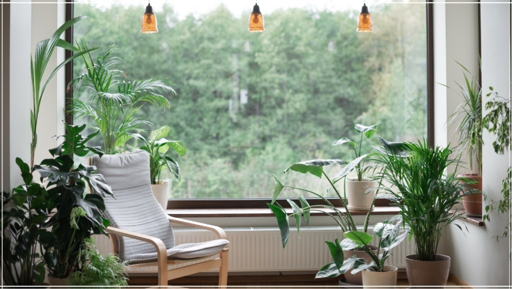 garden room for wellbeing