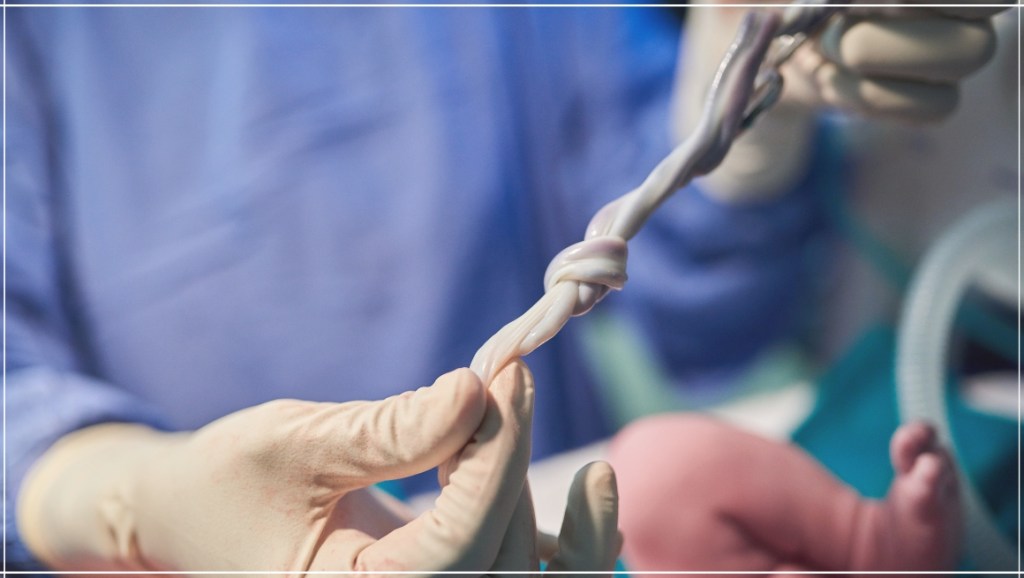 Cord Blood Banking A Natural Choice for Health-Conscious Families (1)