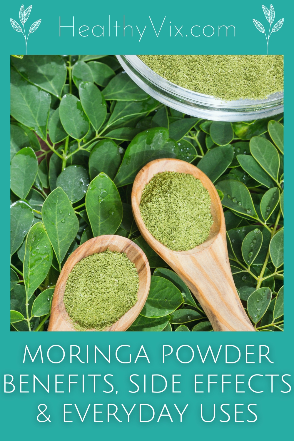 Moringa Powder Benefits and Side Effects Tablets, Drinks & Everyday Uses 