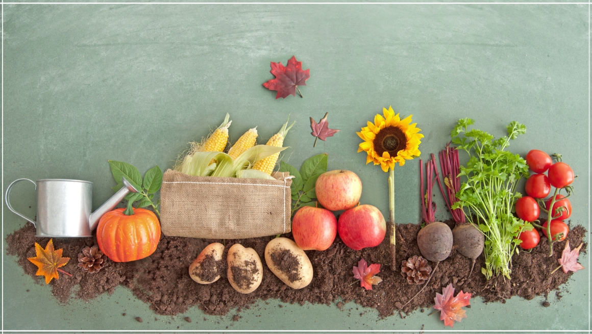 Why Organic Food Is Better: Benefits for People & Planet