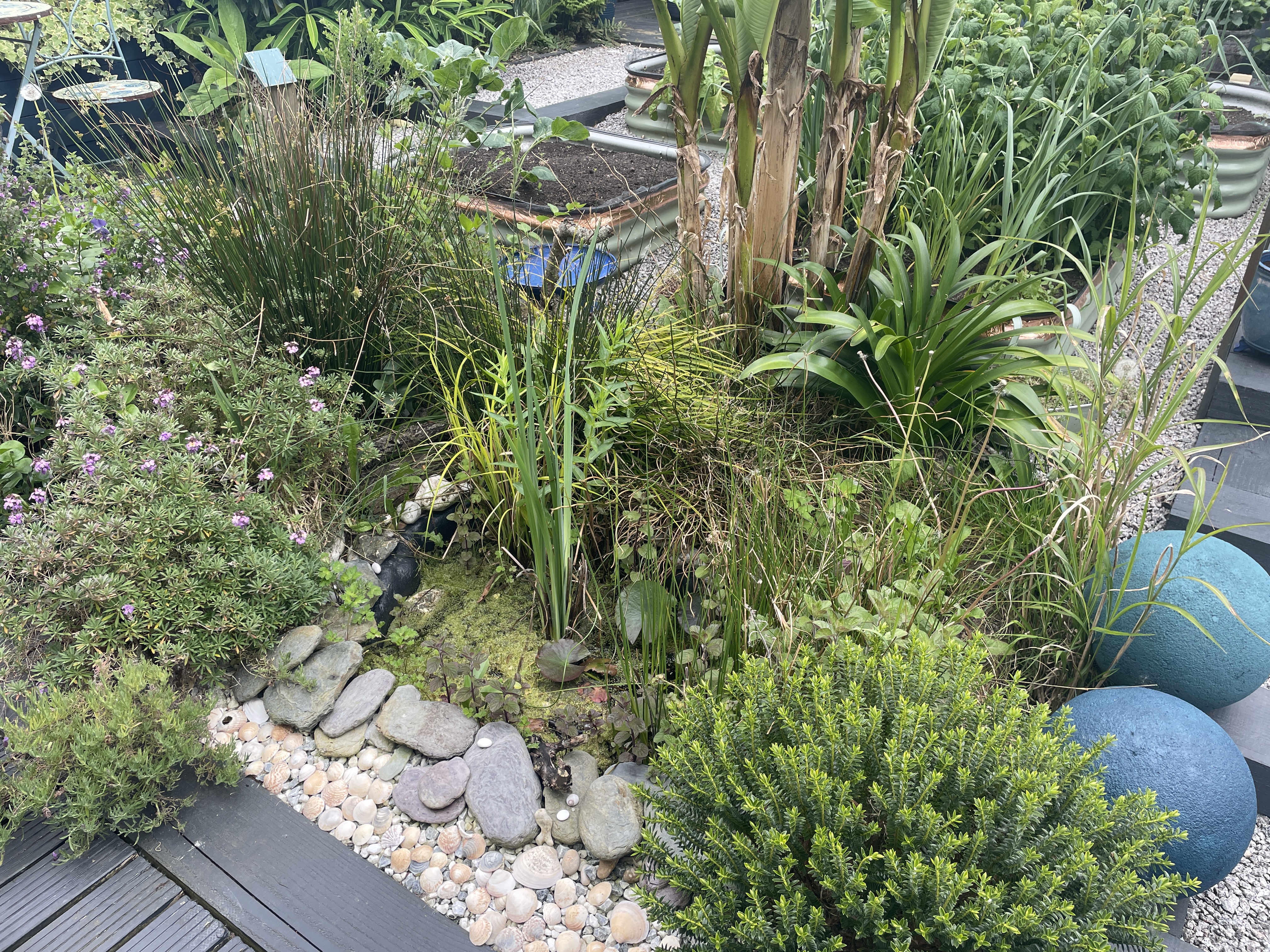 Benefits of Gardening for Health and Wellbeing
