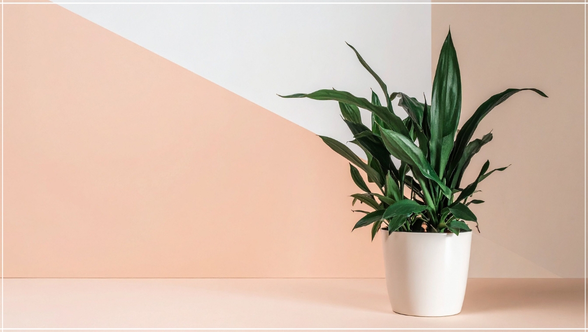 Best Office Desk Plants That Don’t Need Sunlight (Easy, Small & Low Light Options)