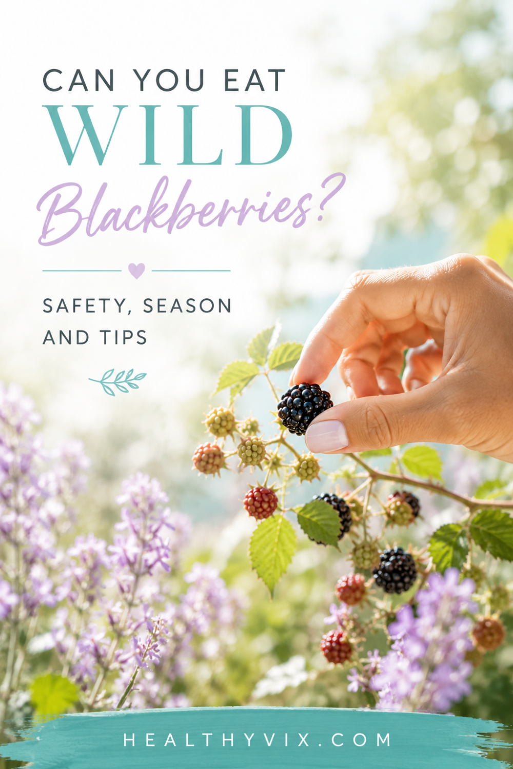 can you eat wild blackberries