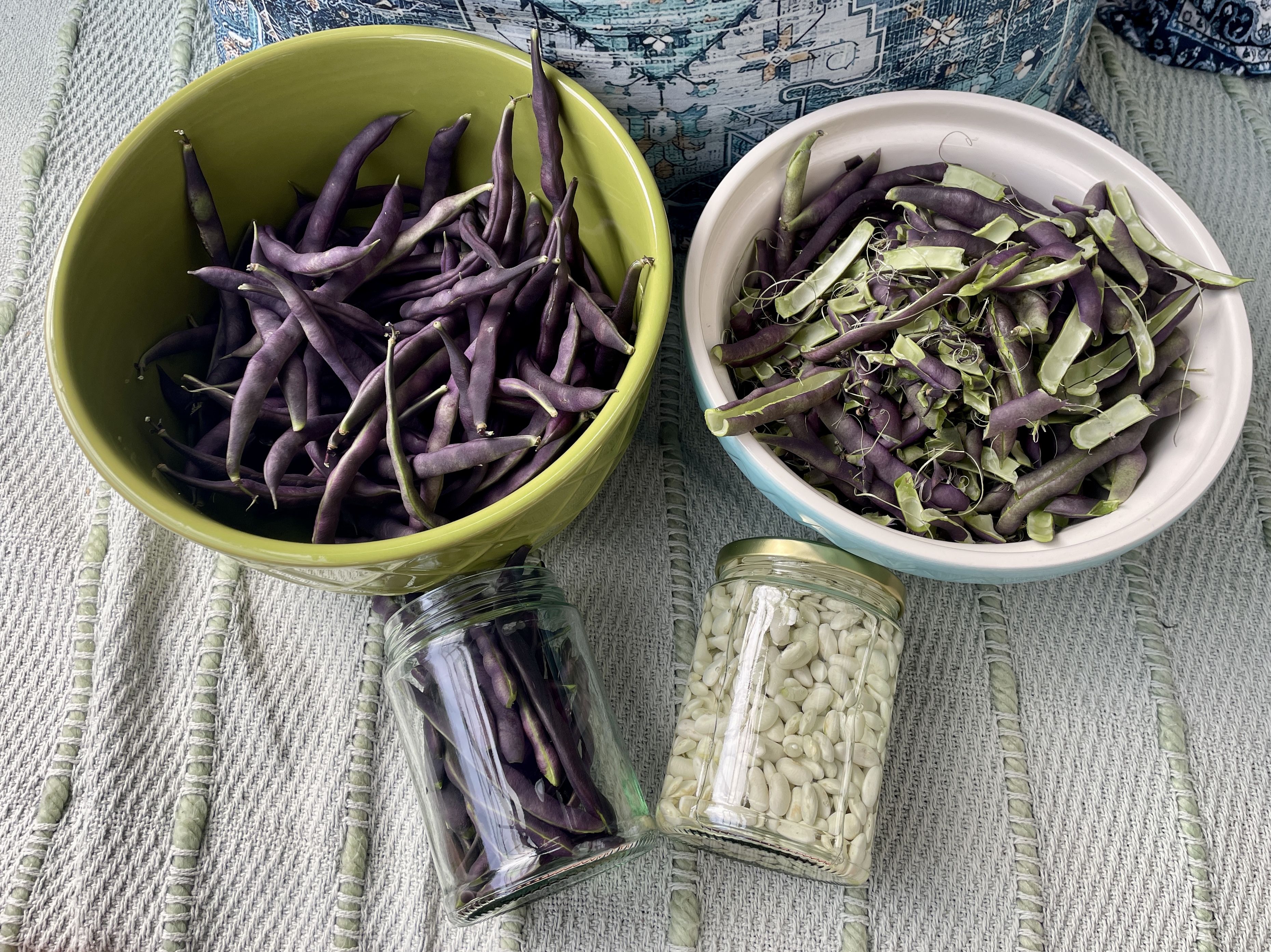 sorting purple french beans and removing the beans 